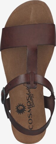 COSMOS COMFORT Sandals in Brown