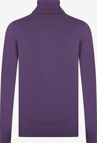 Pull-over 'Jason' DENIM CULTURE en violet