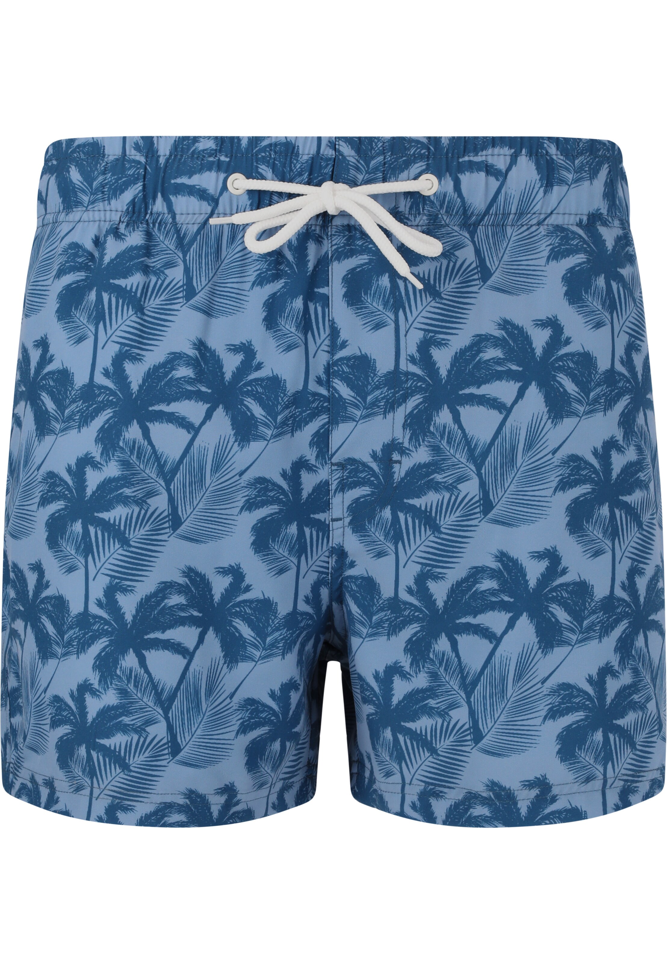 Cruz Swimming shorts 'Werner' in Blue: front