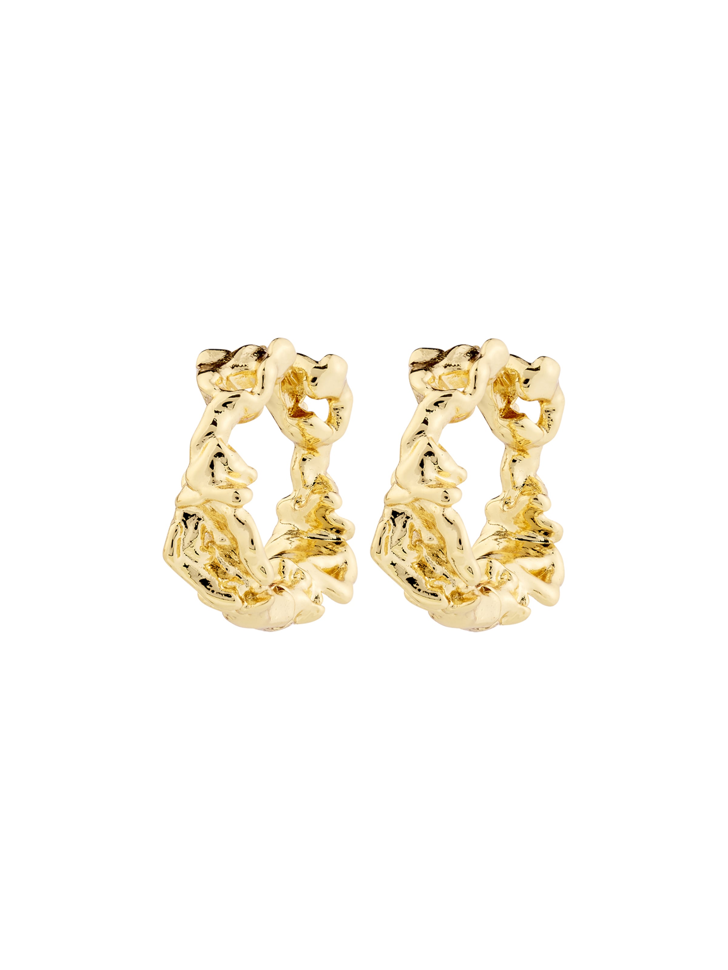 Pilgrim Kõrvarõngas 'Trust', värv Kuld: eest vaates