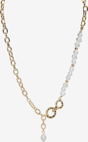 PIECES Necklace 'MALENA' in Gold: front