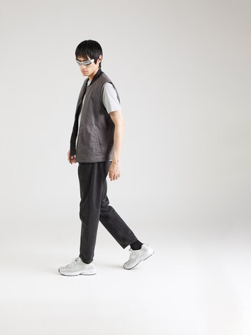 Iriedaily Majica | siva barva