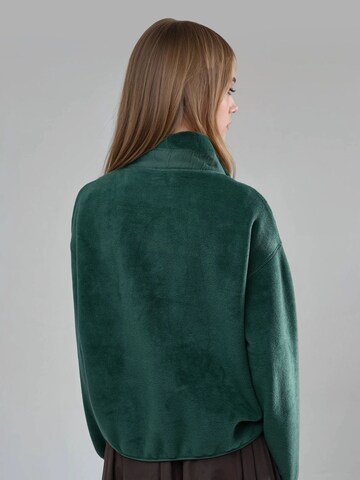 Pull-over Busem en vert