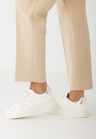Sneaker bassa ' REFLUX ' di BRITISH KNIGHTS in bianco: frontale