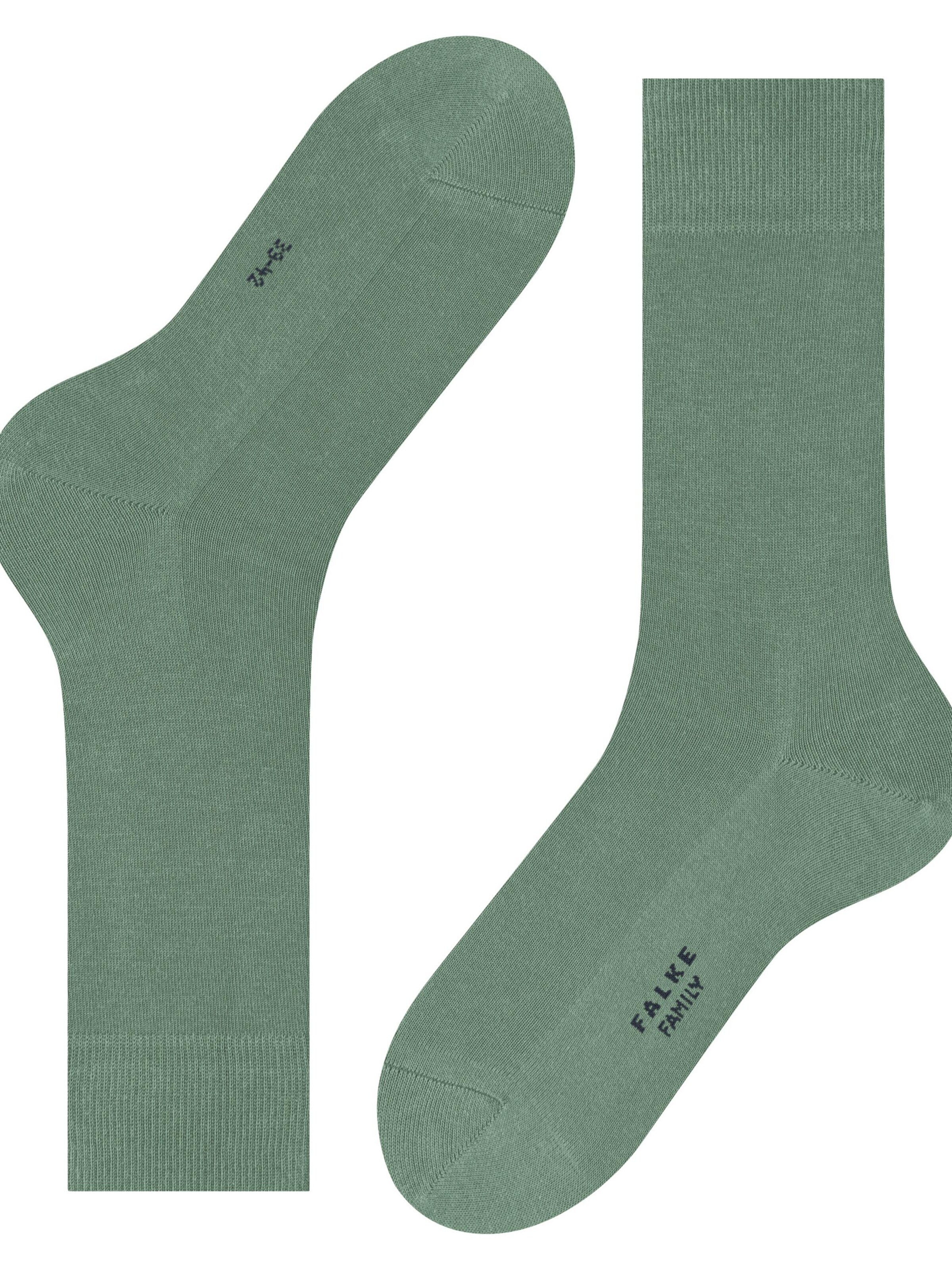 FALKE Socks 'Family' in Green
