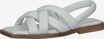 ILC Sandals in White: front