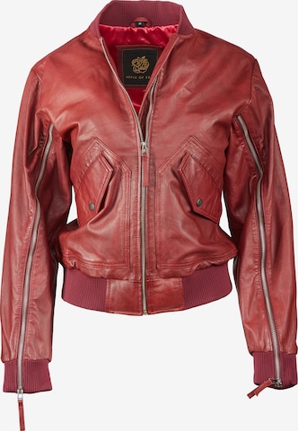 Apple of Eden Lederjacke AOE-143 in Rot: Vorderseite