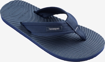 HAVAIANAS Japonki 'Surfer Coast' w kolorze niebieski: przód