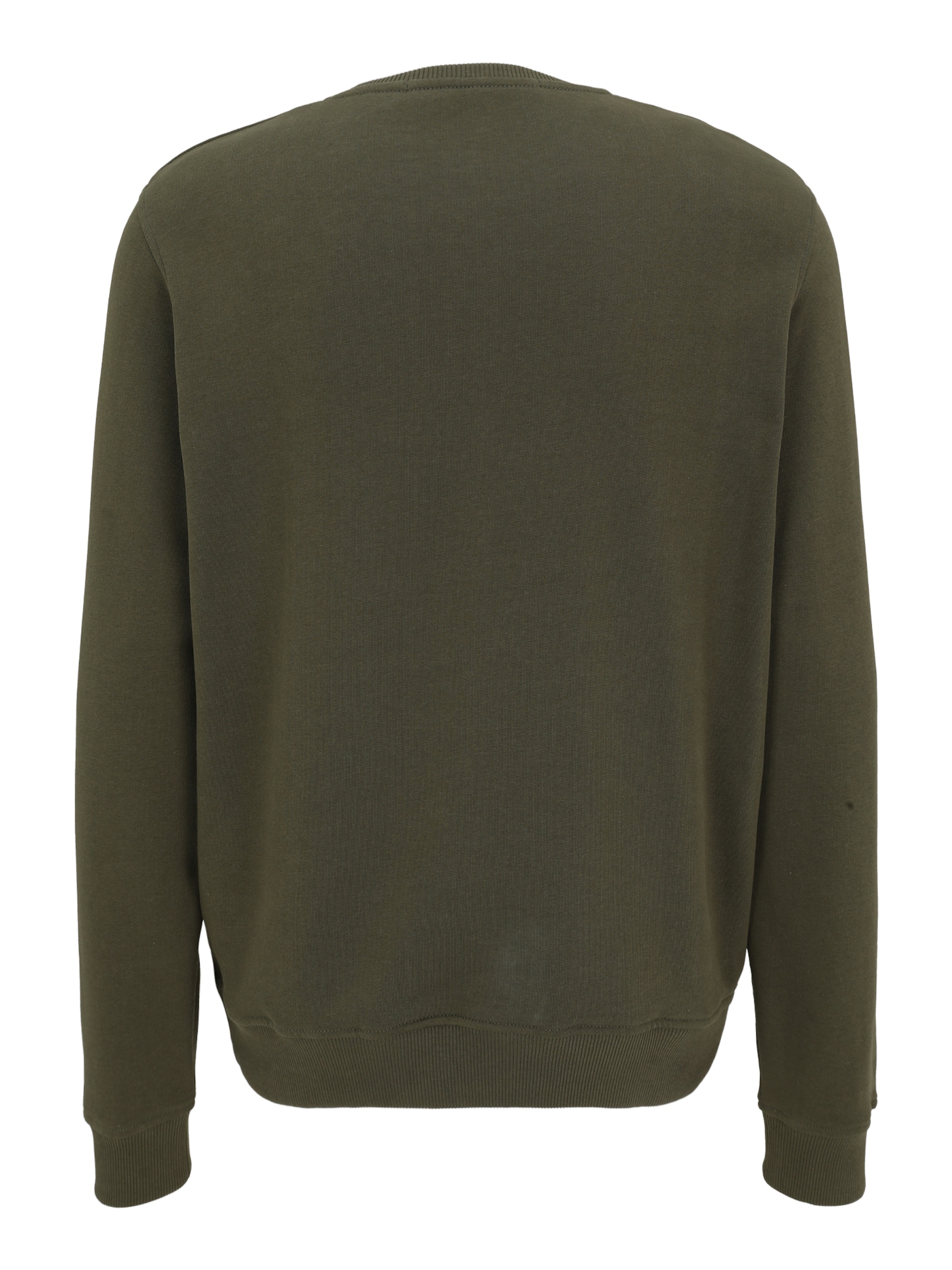 Karl Lagerfeld Mikina - Zelená: zadná strana