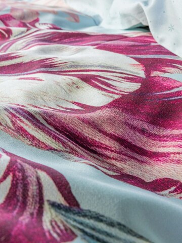 ESSENZA Bettwäsche 'Filou' in Blau