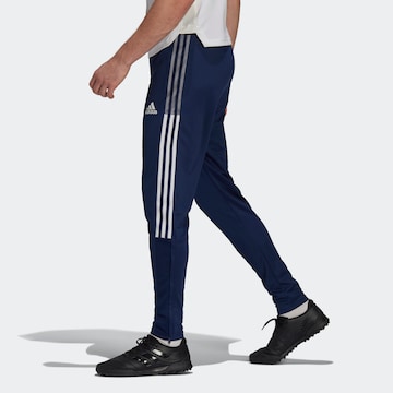 Tapered Pantaloni sportivi 'Tiro 21' di ADIDAS SPORTSWEAR in blu