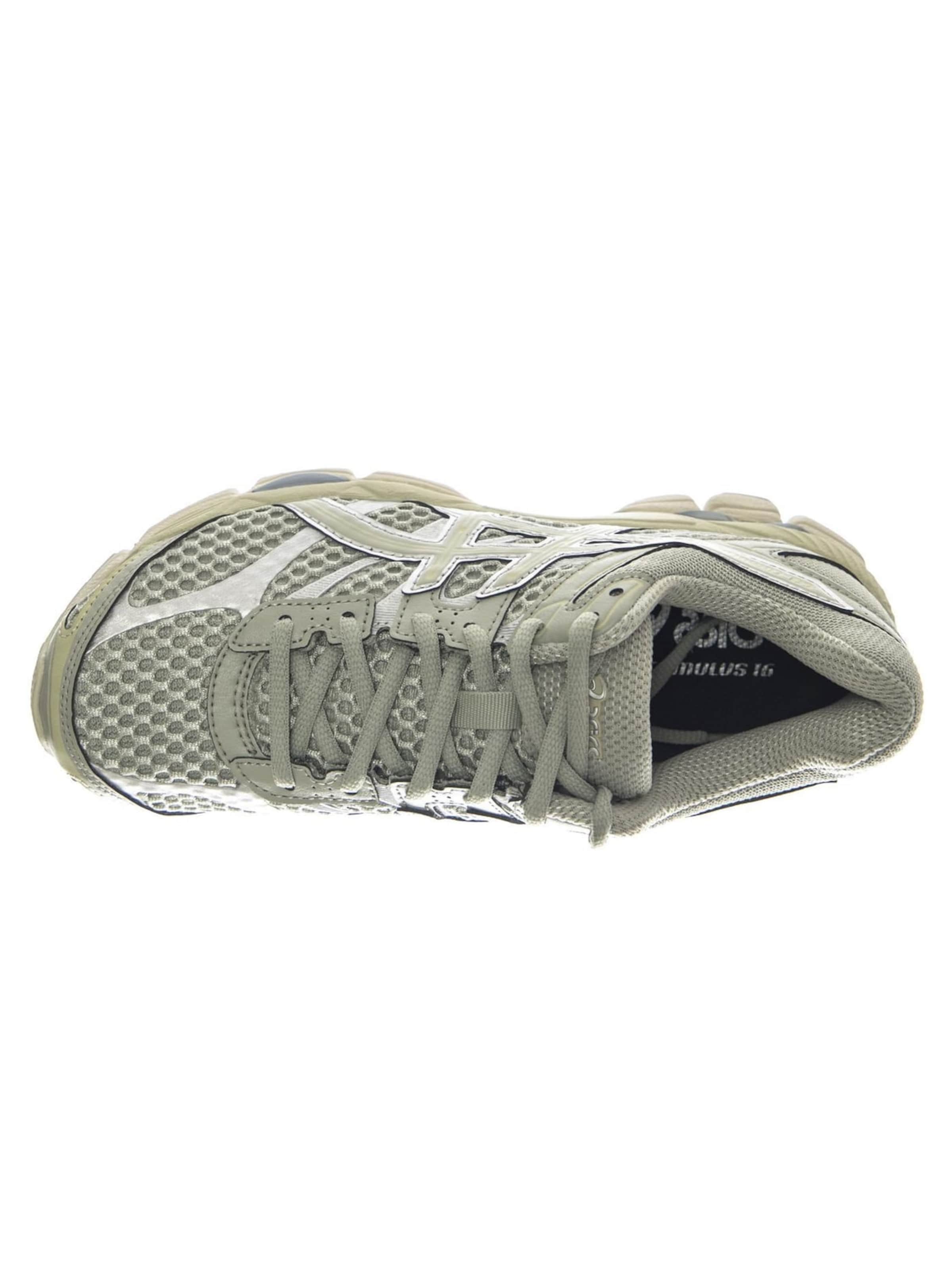 Scarpa stringata sportiva 'Gel-Cumulus 16 Dried Leaf Green/Dried Leaf Green -- Men's Green Shoes' di ASICS in beige