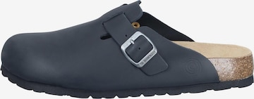DR. BRINKMANN Clogs 'Nerpio' in Schwarz: Vorderseite