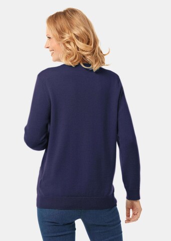 Goldner Sweater in Blue