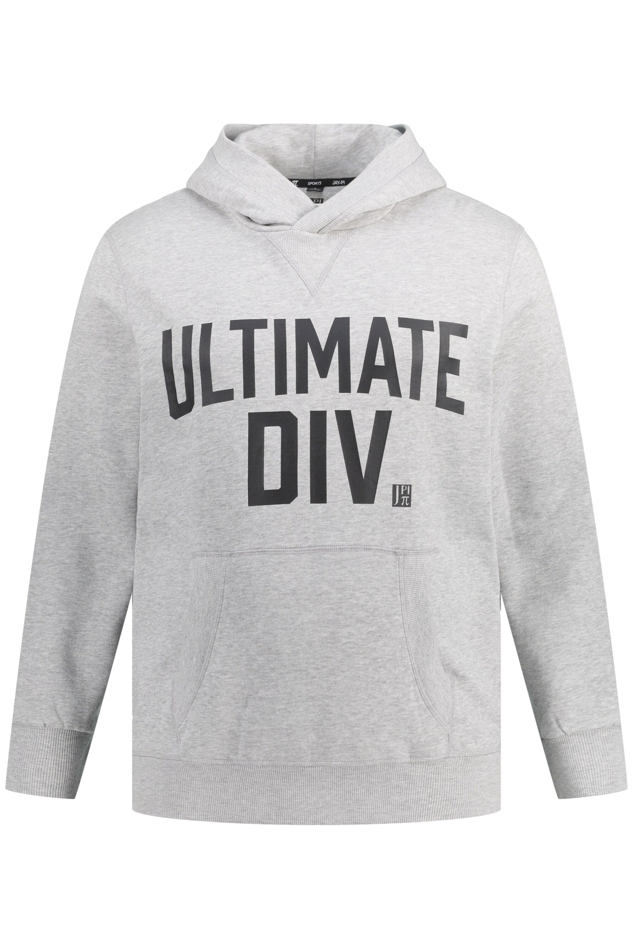 JAY-PI Sweatshirt in Grau: Vorderseite