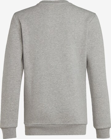 ADIDAS ORIGINALS Sweatshirt 'Adicolor Crew' in Grey