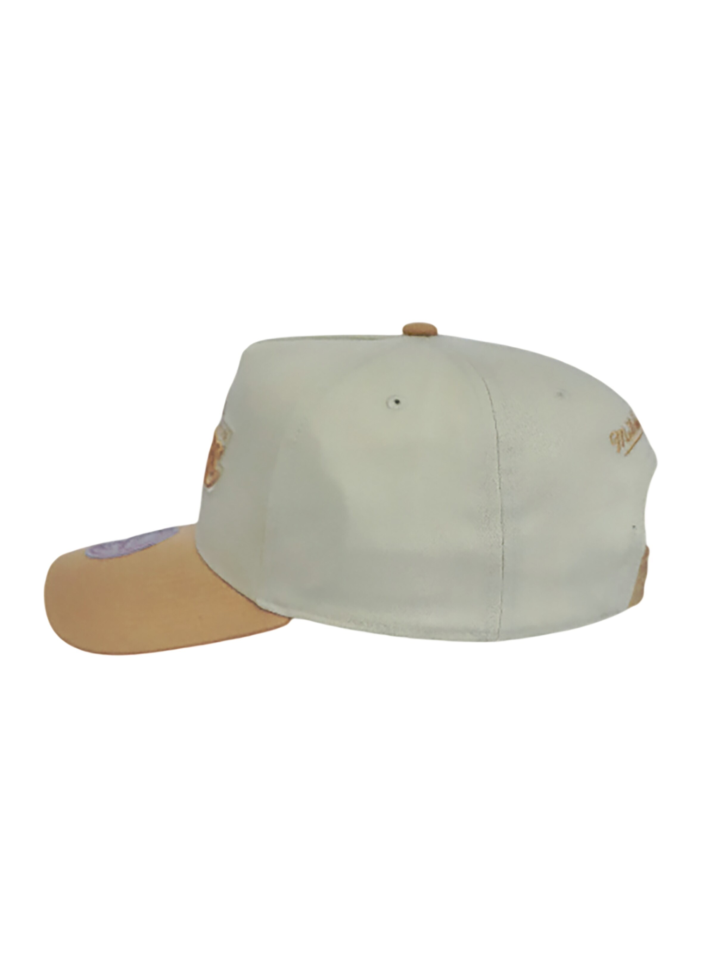 Mitchell & Ness Cap 'Los Angeles Lakers Dust Pro' in Beige