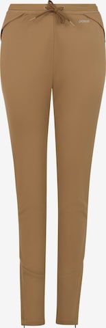 PROTEST Pants 'PRTHaumea' in Brown: front