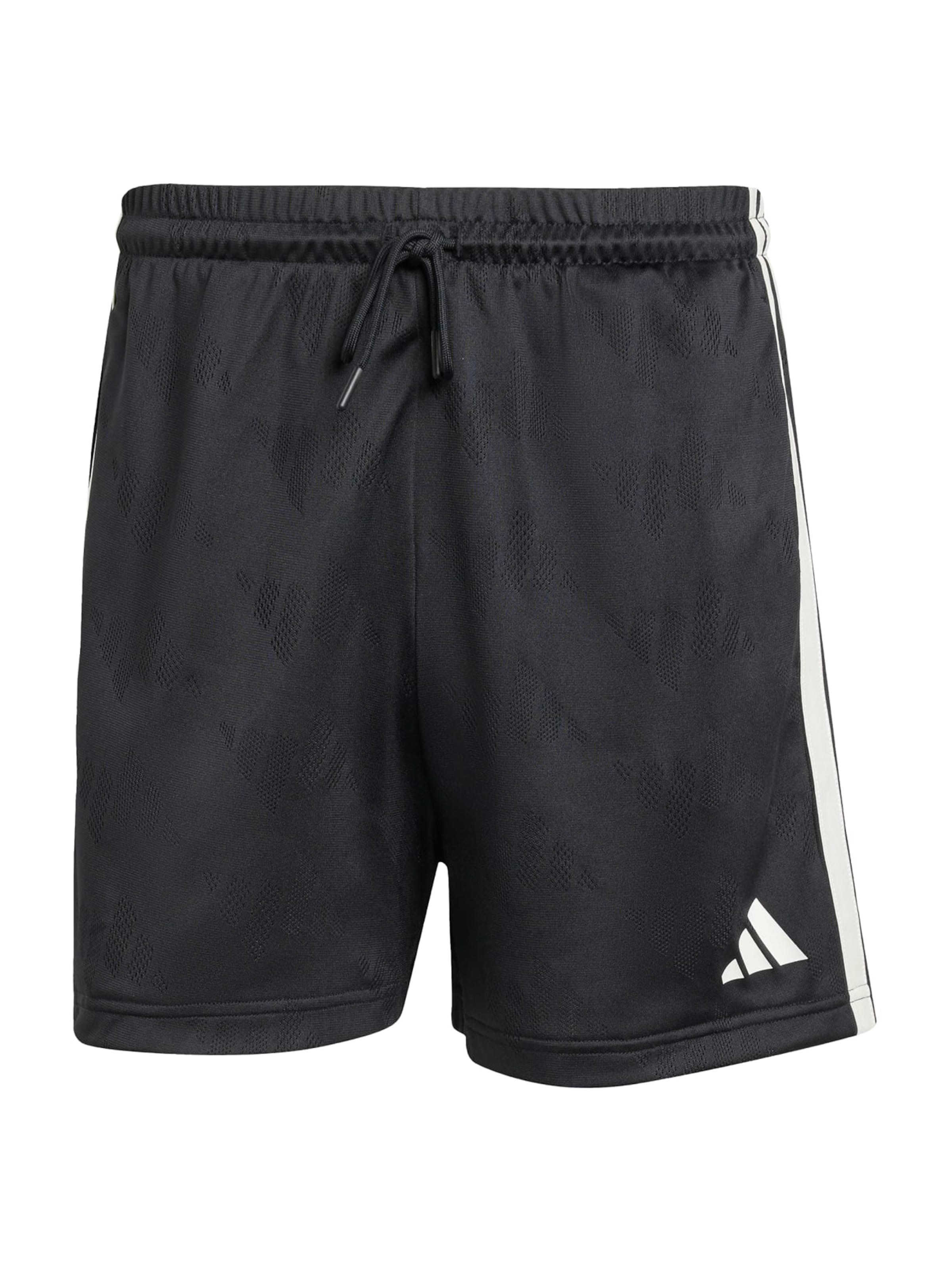 Regular Pantalon de sport 'STA SEAS' ADIDAS SPORTSWEAR en noir : devant