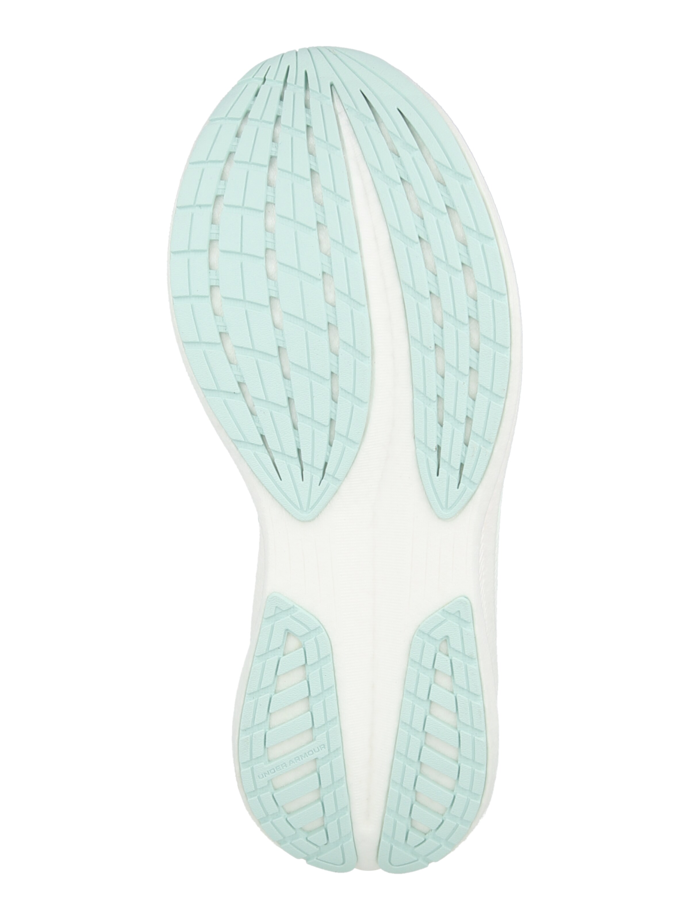 UNDER ARMOUR Обувь для бега 'Velociti SPD' в Зеленый