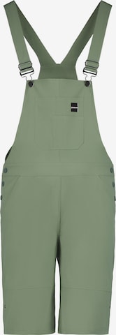 ICEPEAK Regular Outdoor Pants in Green: front