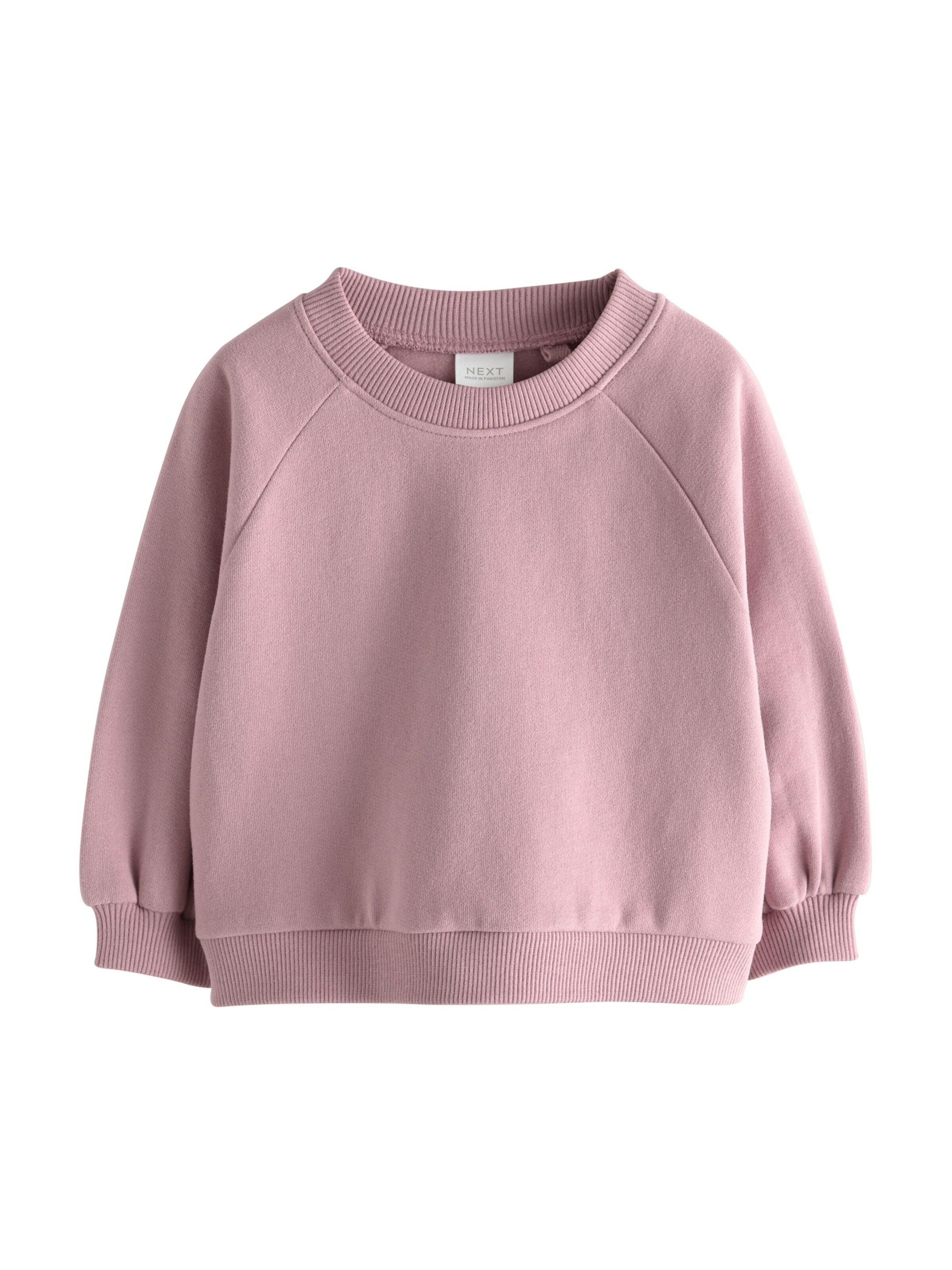 Next Sweatshirt in Lila: voorkant