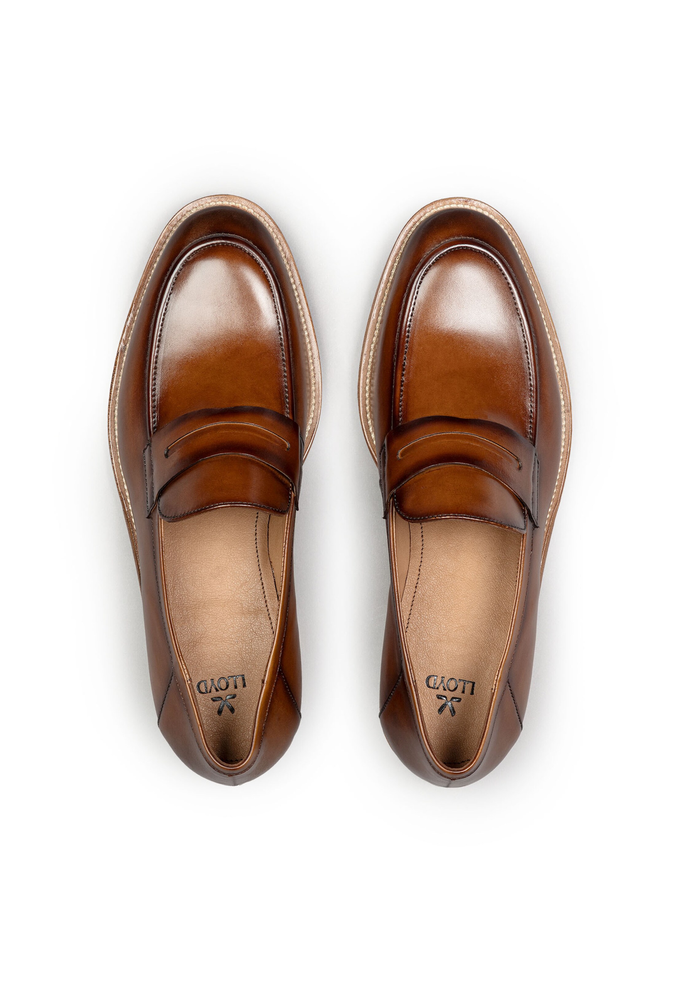 Chaussure basse 'SAVIN 220' LLOYD en marron