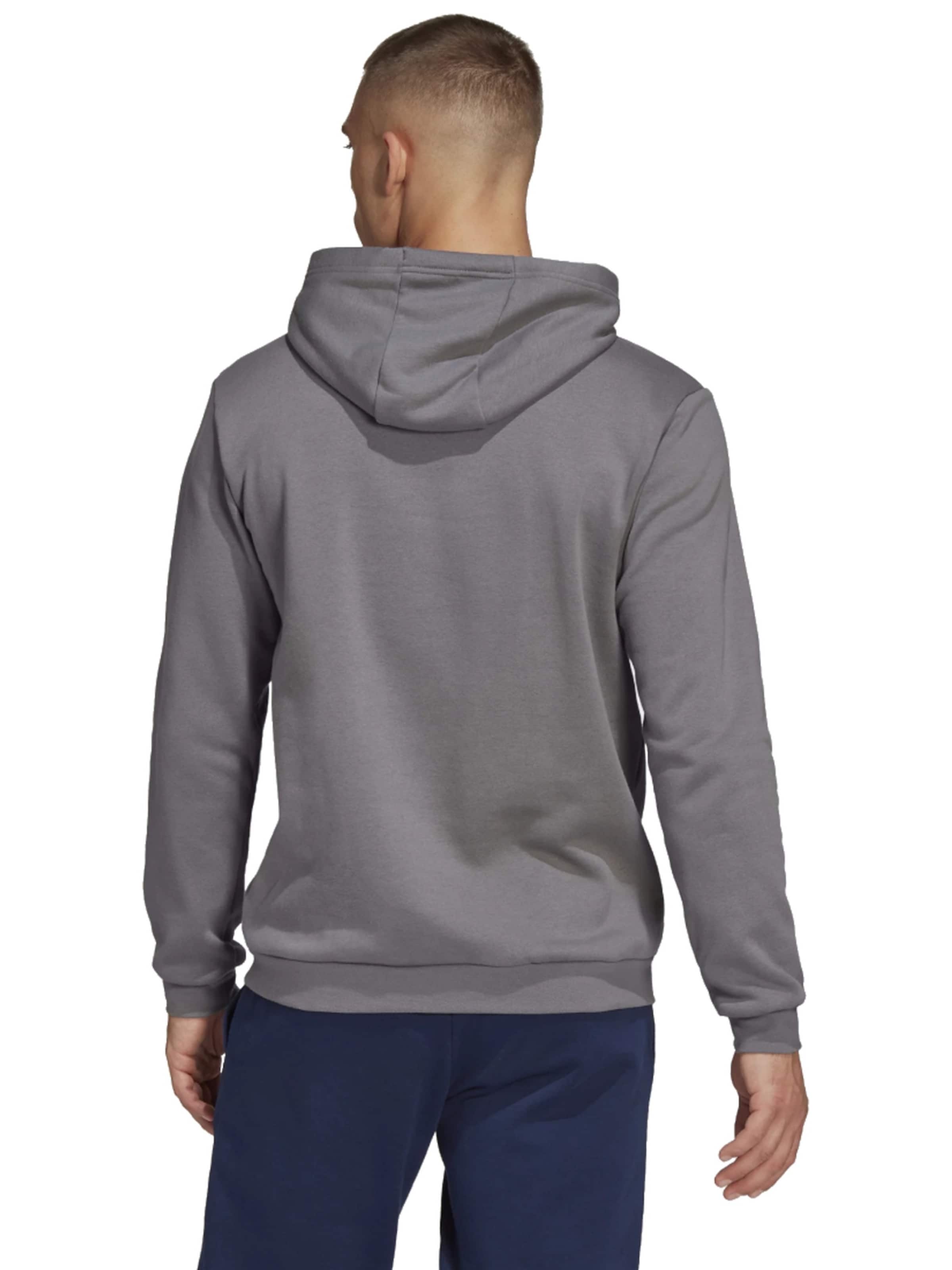 ADIDAS PERFORMANCE Sweatshirt 'Entrada 22 Sweat' in Grijs