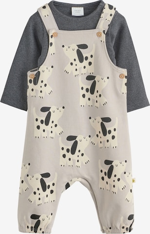 pilka Next Rinkinys: priekis