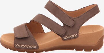 GABOR Sandals in Brown