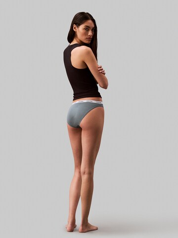 Calvin Klein Underwear Slip in Blue