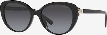 COACH Sunglasses in Black: front