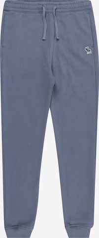 Abercrombie & Fitch Tapered Hose 'ICON ESSENTIALS' in Blau: predná strana