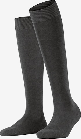 FALKE Knee High Socks 'ClimaWool' in Grey: front