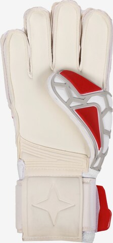 DERBYSTAR Athletic Gloves 'Red Star' in White