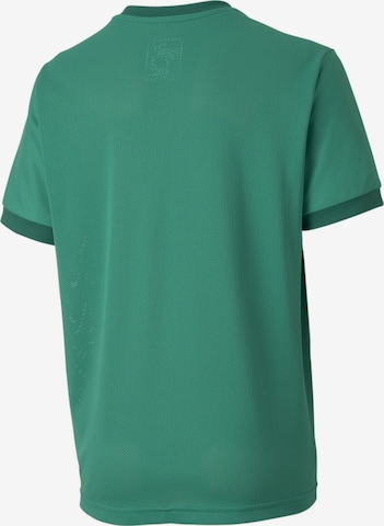 PUMA Performance Shirt 'TeamGOAL 23' in Green