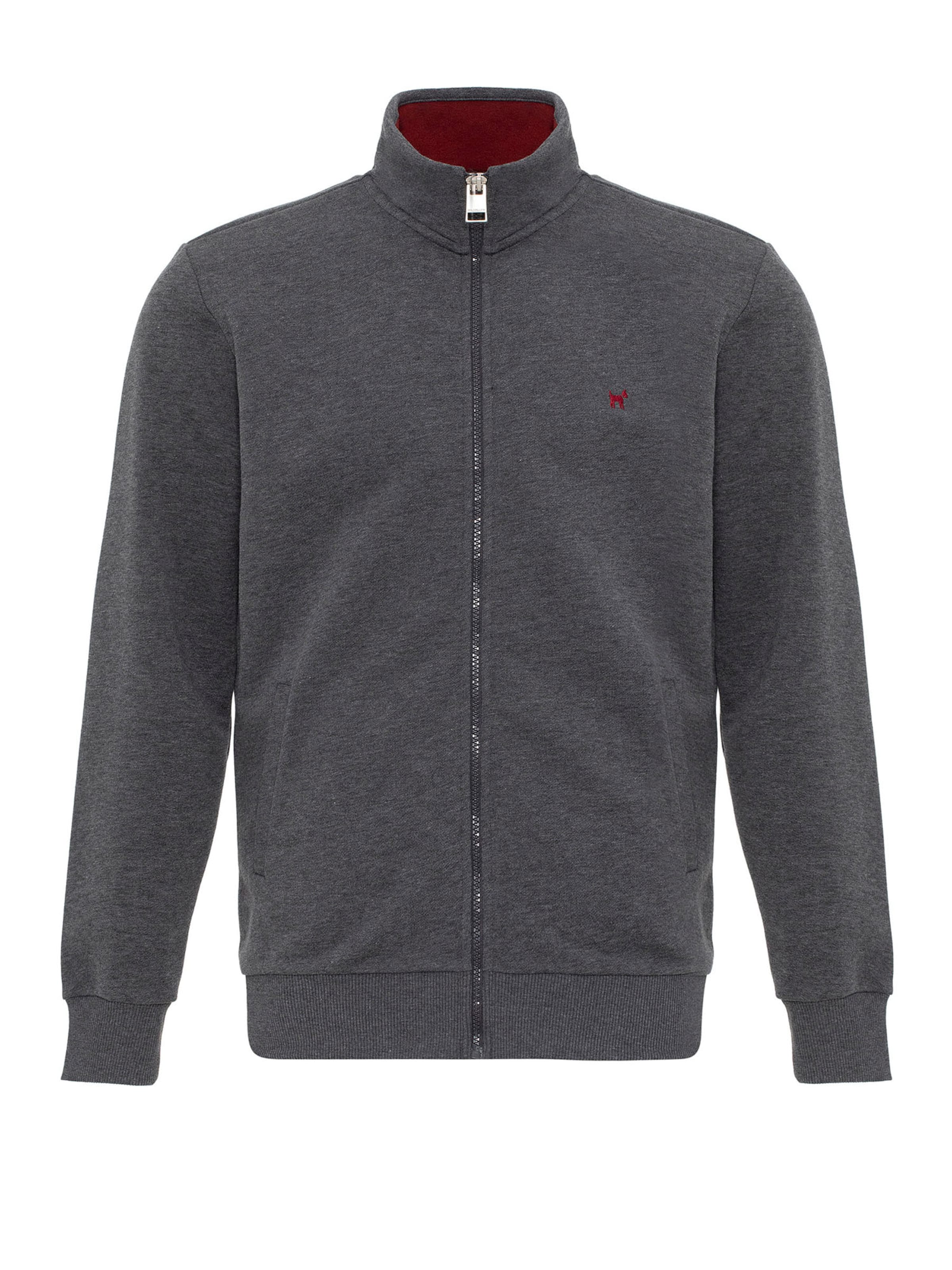 Williot Zip-Up Hoodie in Grey: front