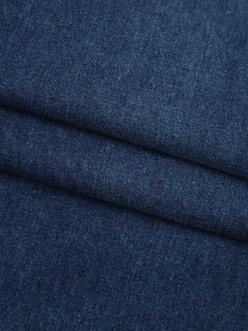 LapaPlus - Pierna ancha Vaquero 'Women Hose' en azul