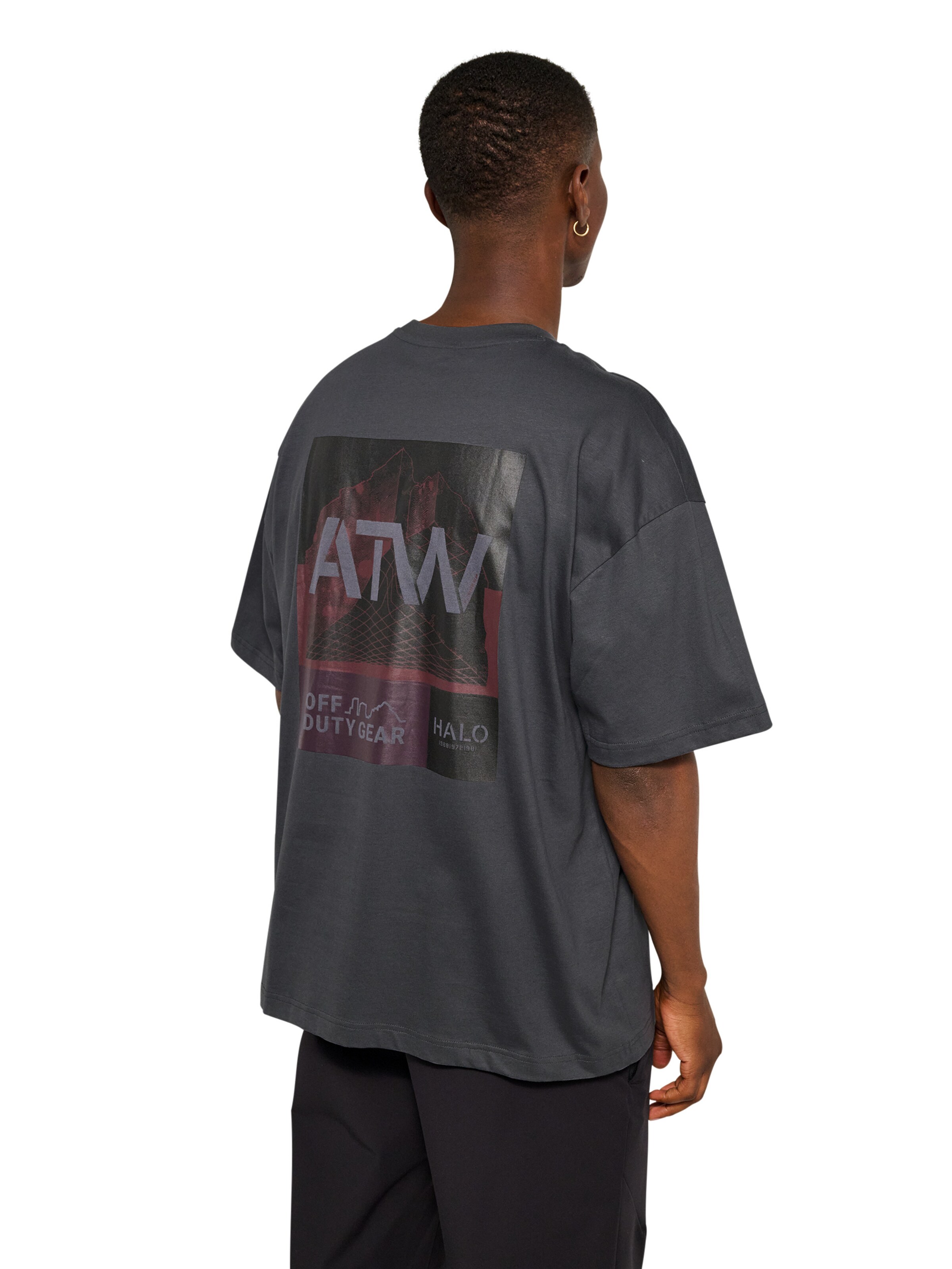 HALO Shirt in Grijs: voorkant