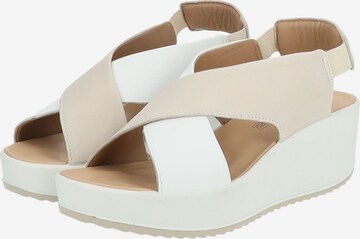 IGI&CO Sandals in Beige