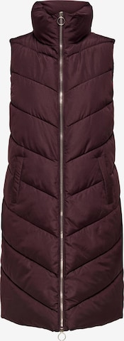 Gilet 'Finno' JDY en marron : devant