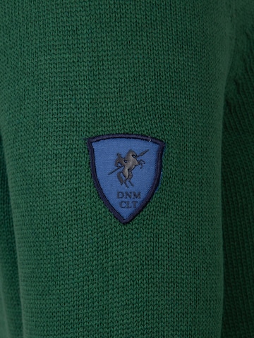 DENIM CULTURE Sweater 'Brian' in Green