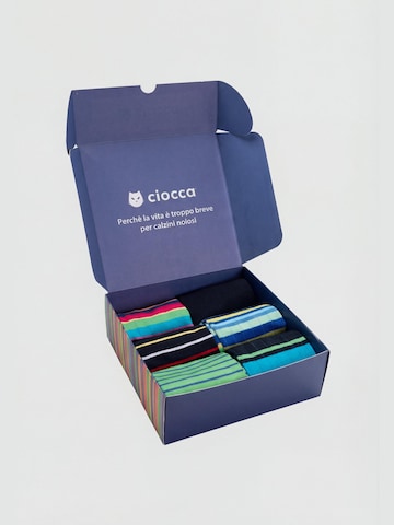 Ciocca Knee socks in Mixed colours