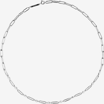 P D PAOLA Necklace in Silver