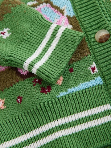 Next Gebreid vest in Gemengde kleuren