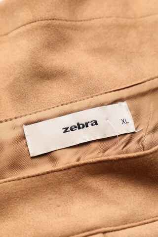 ZEBRA Skirt in XL in Beige