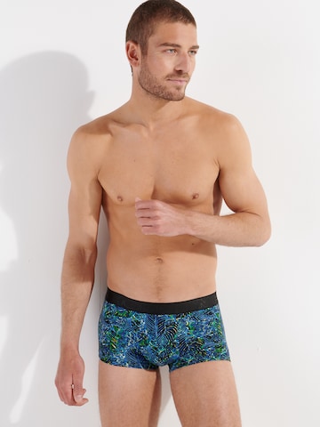 HOM Boxershorts 'Jarrod' in Blauw: voorkant