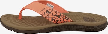 REEF T-Bar Sandals 'Santa Ana' in Orange