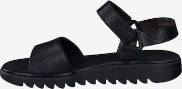 Paul Green Strap Sandals in Black