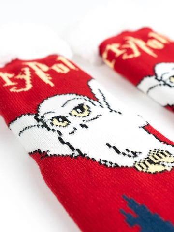 Harry Potter Socks 'Hüttensocken Hedwig' in Mixed colours